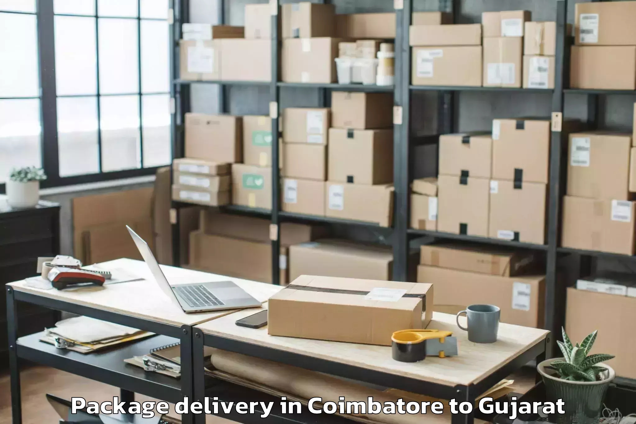 Reliable Coimbatore to Hansot Package Delivery